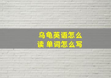 乌龟英语怎么读 单词怎么写